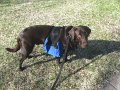 2010-03_17 Hemi backpack_0001